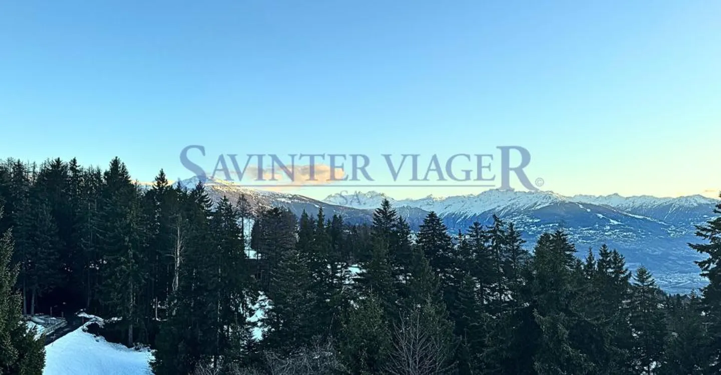 Magnifica vista. Crans-Montana. Vitalizio Occupato. - Foto 12 di 12
