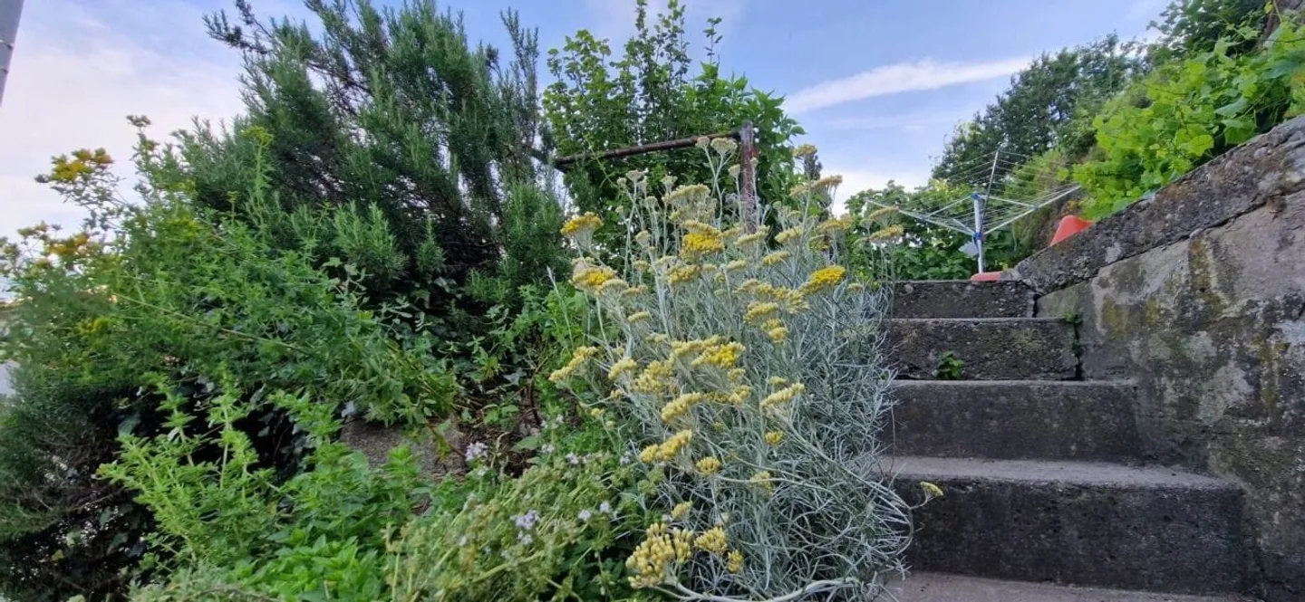Maison familiale charmante avec vue - Photo 7 sur 9