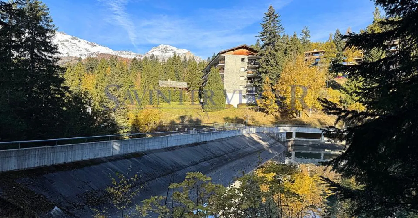 Magnifica vista. Crans-Montana. Vitalizio Occupato. - Foto 9 di 12