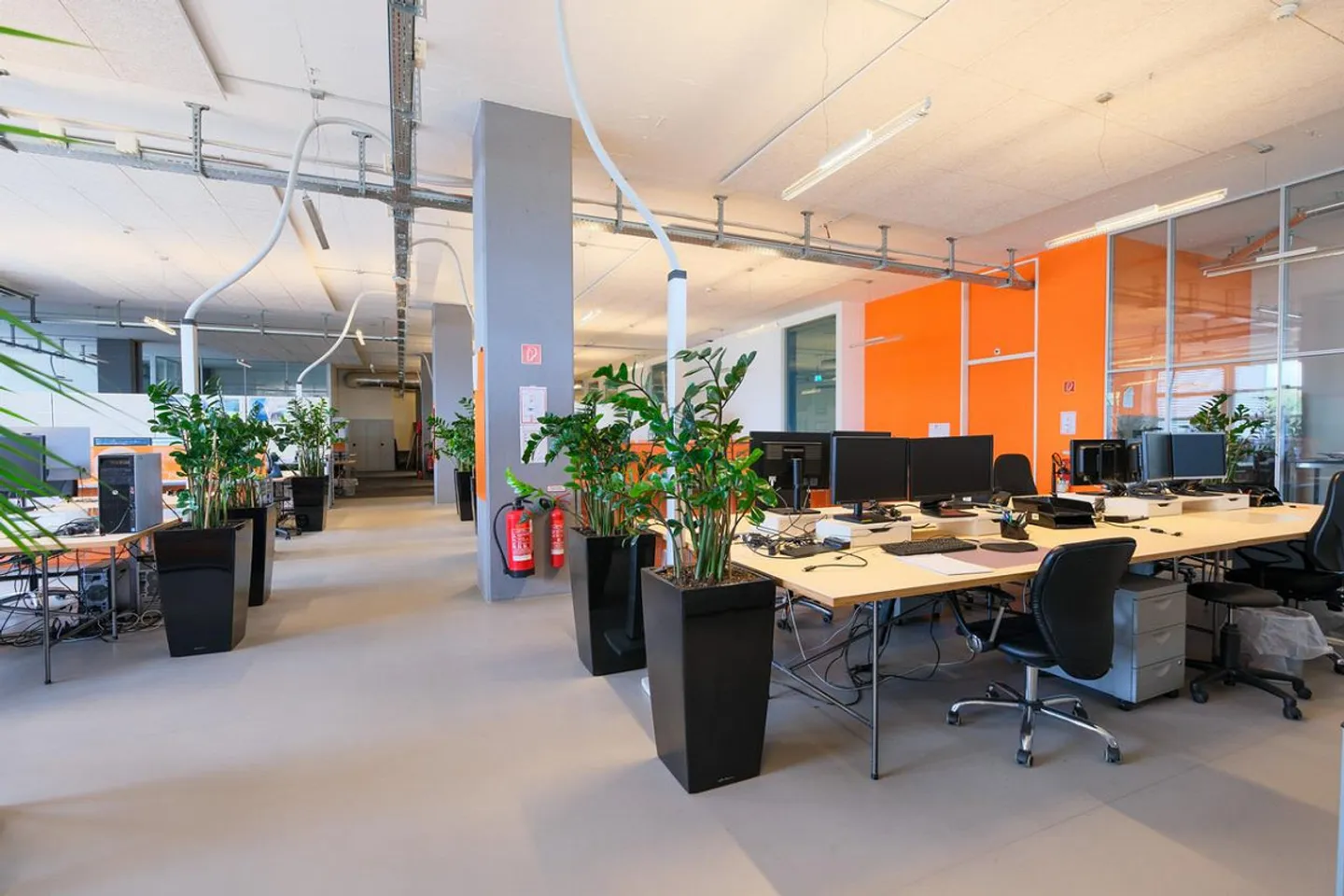 Bureaux modernes et lumineux sur les rives du Rhin - avec places de parking - Photo 4 sur 11