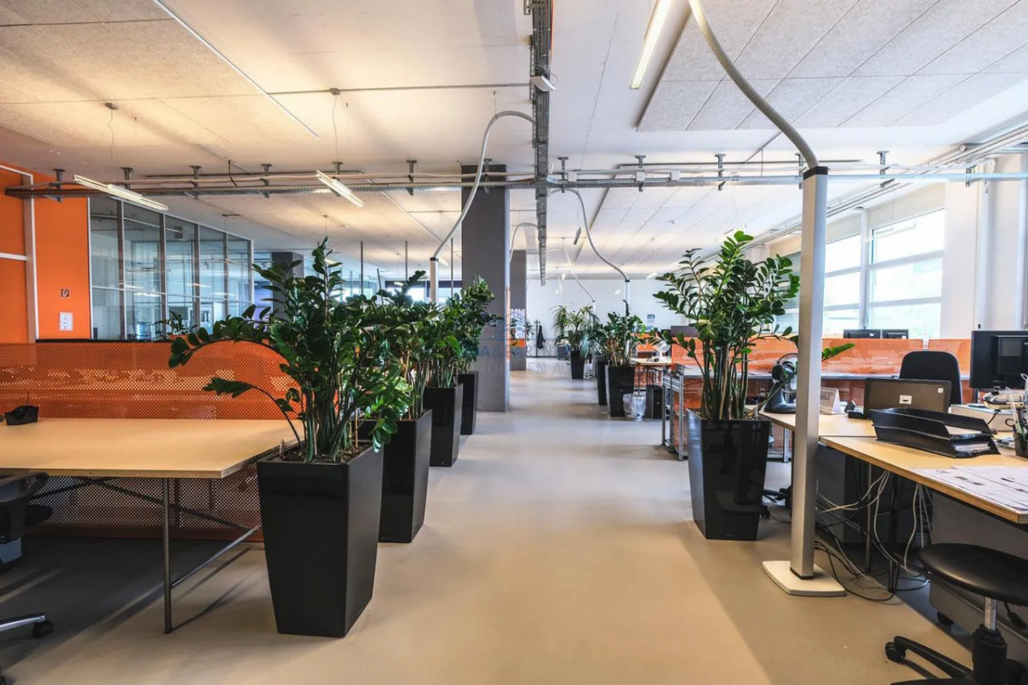 Bureaux modernes et lumineux sur les rives du Rhin - avec places de parking - Photo 6 sur 11