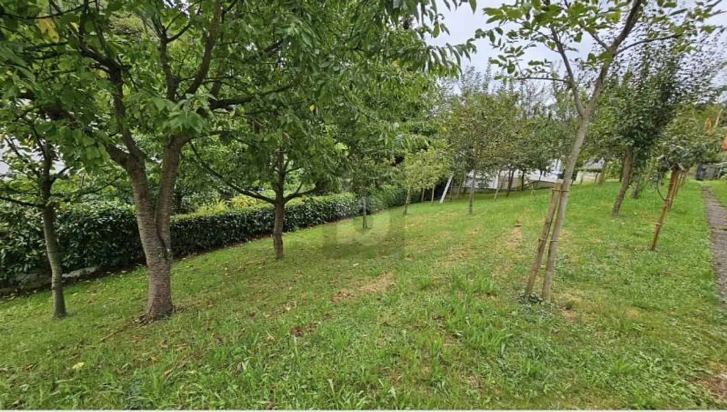 WOHNOASE MIT GARTENPARADIES - Foto 5 von 6