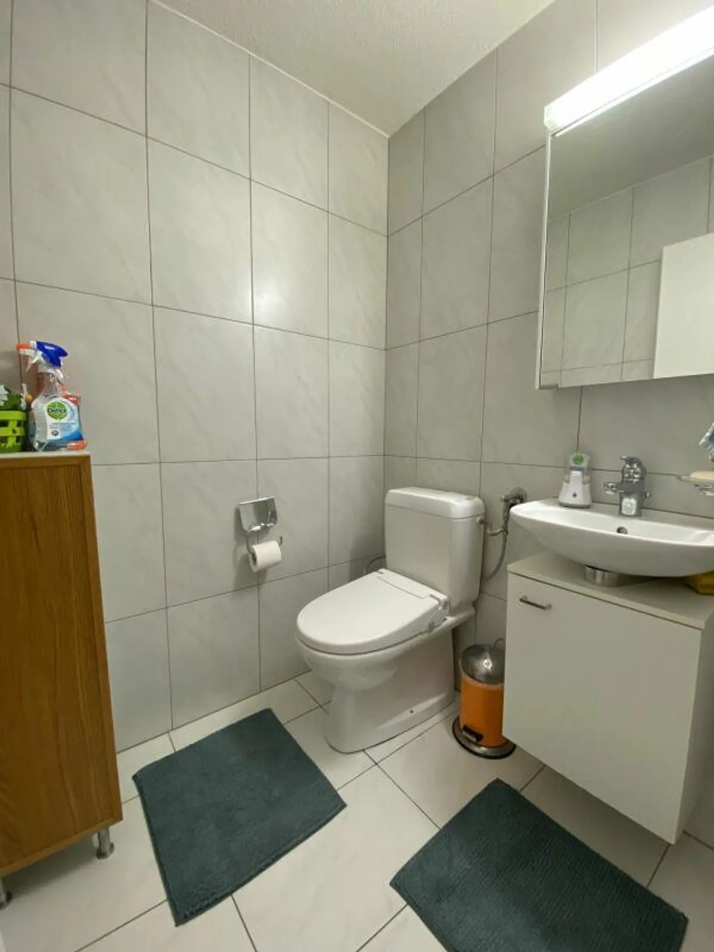 Garden apartment with breathtaking mountain view! - Photo 6 of 8