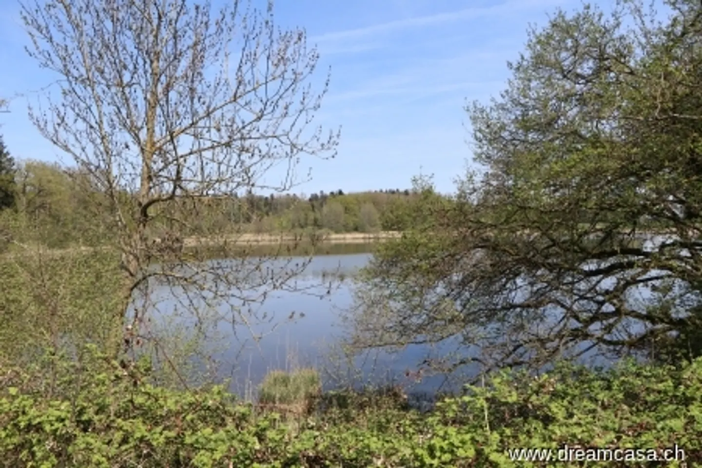 Vivre au Paradis - Photo 1 sur 13
