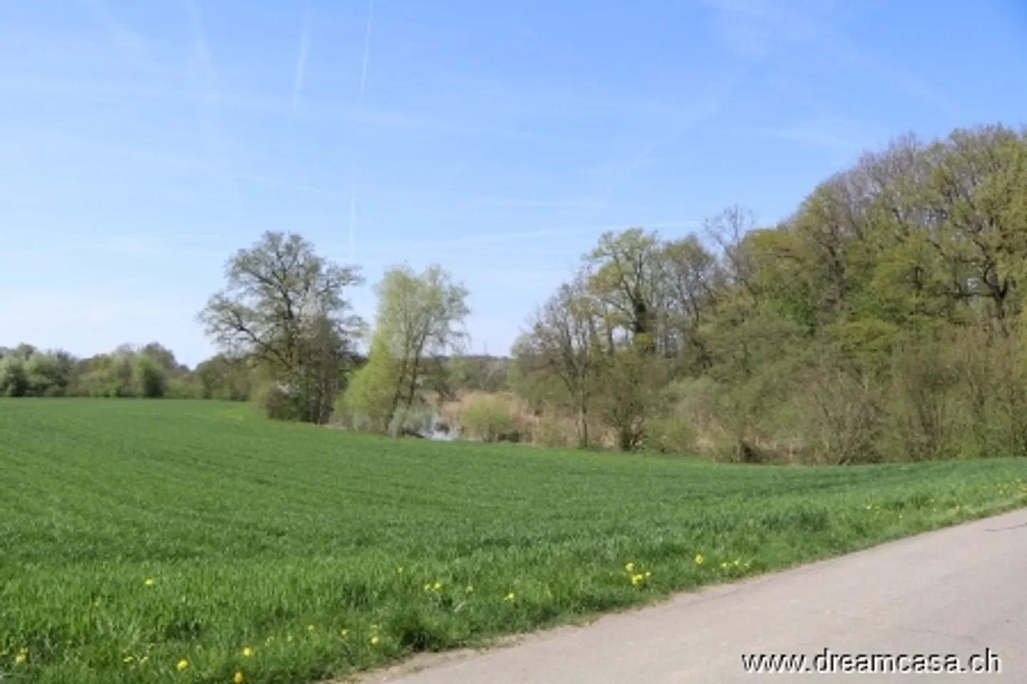 Vivre au Paradis - Photo 4 sur 13
