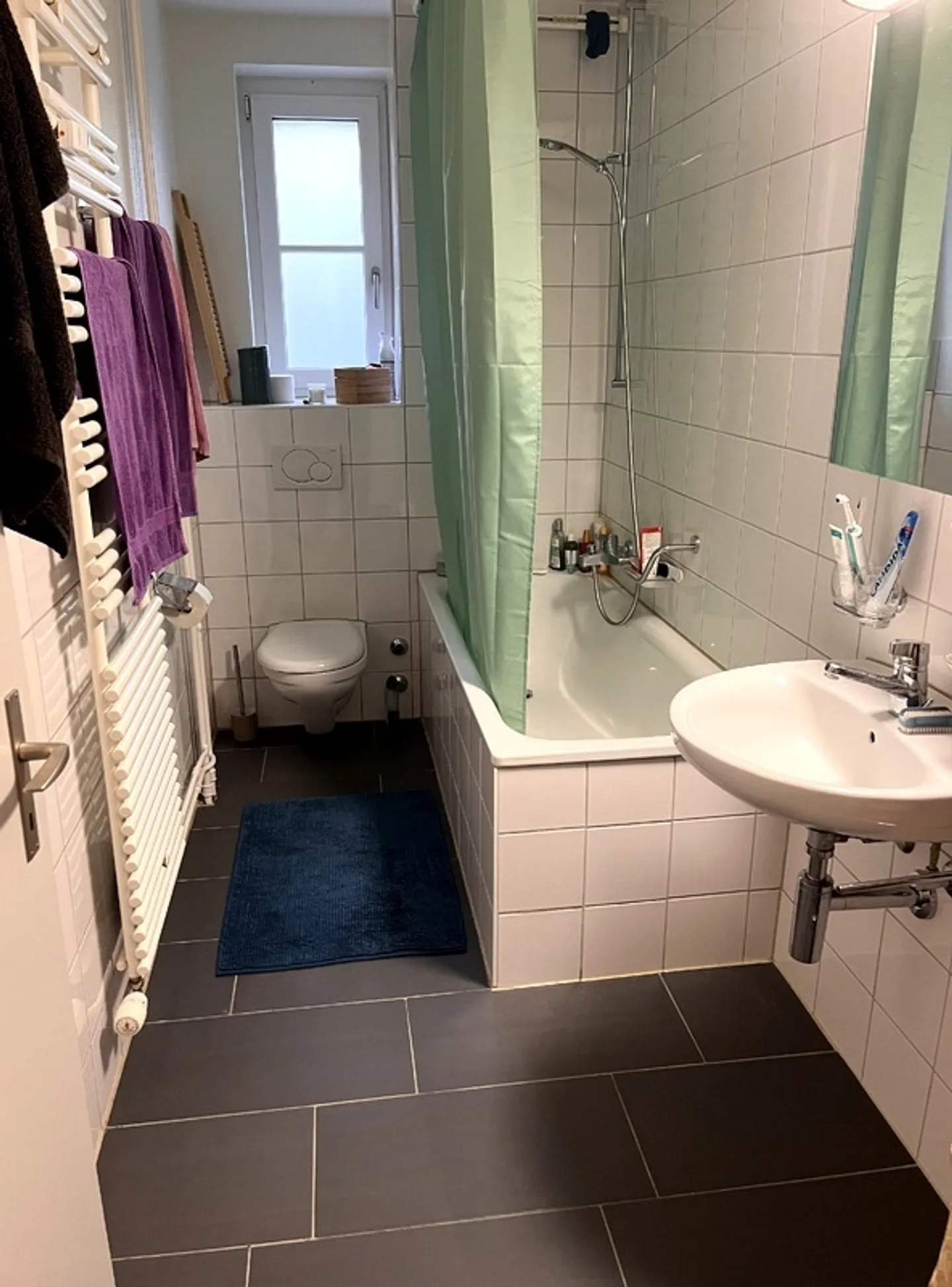 2 ROOM APARTMENT IN BERN - MURIFELD, FURNISHED, TEMPORARY - Photo 5 of 6