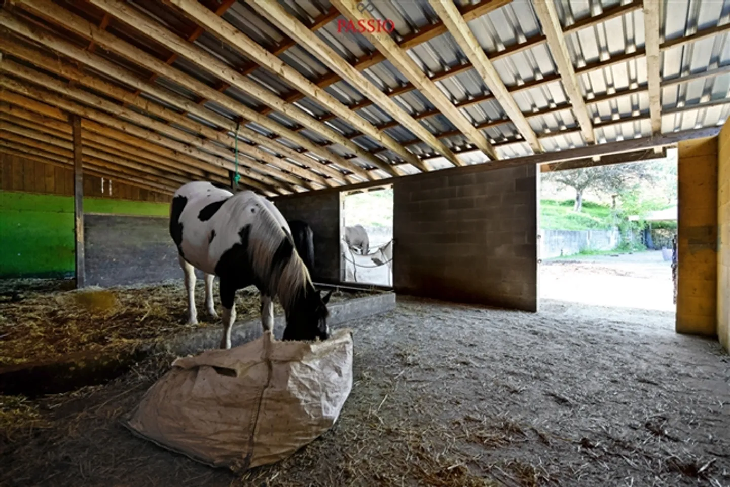 Paradise for Horse Lovers 9-Rooms, Pool and Flexible Use - Photo 17 of 20