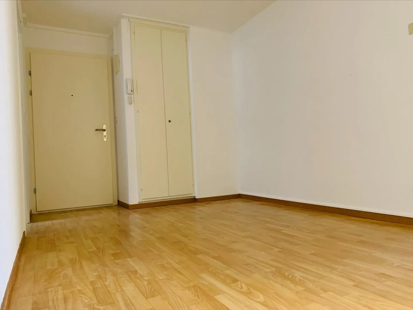Bright 3-room apartment with balcony and lake view - Photo 7 of 8