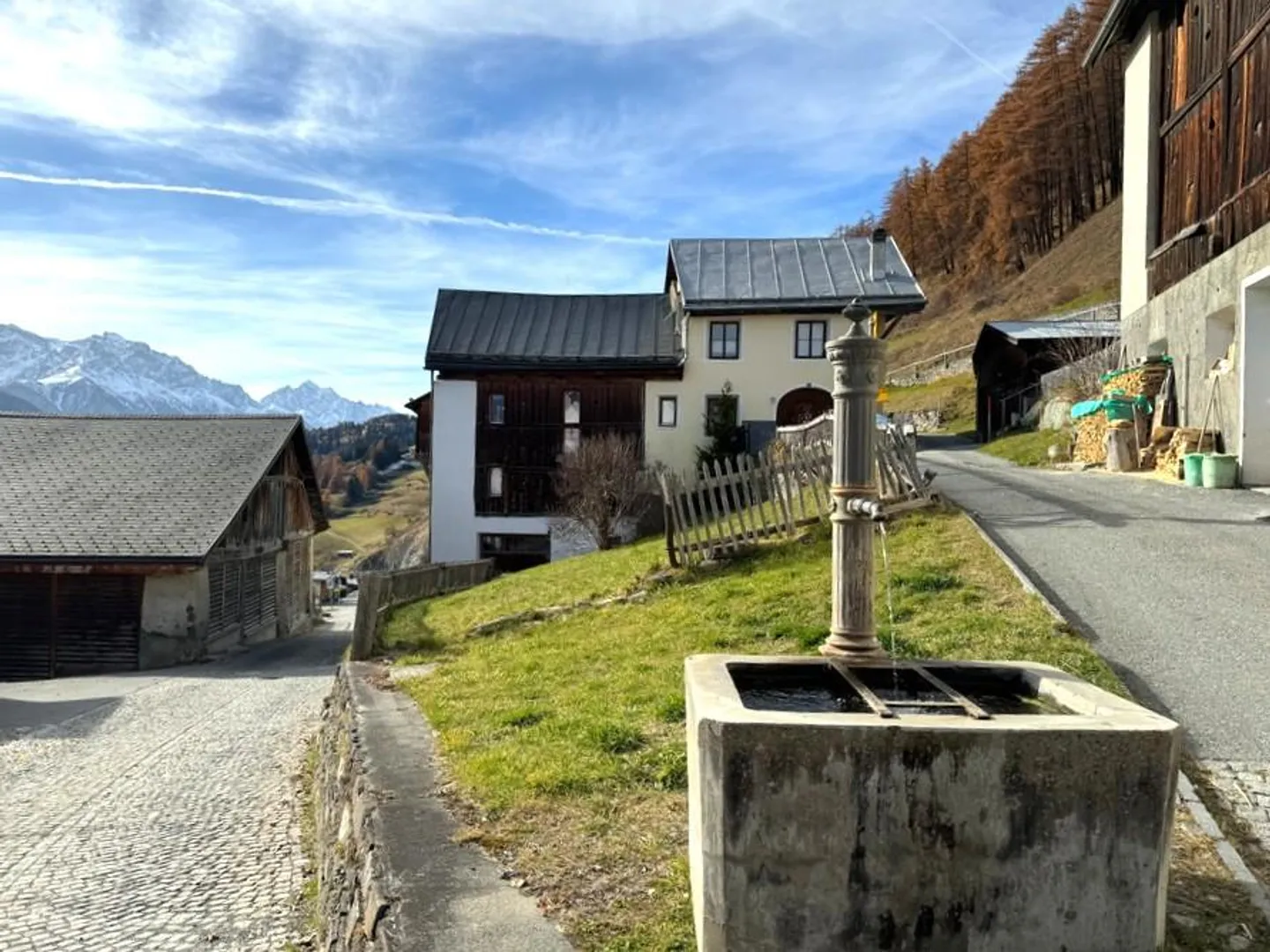 Authentic Engadine House with Stall Extension in Sunny Village Edge Location - Photo 8 of 11