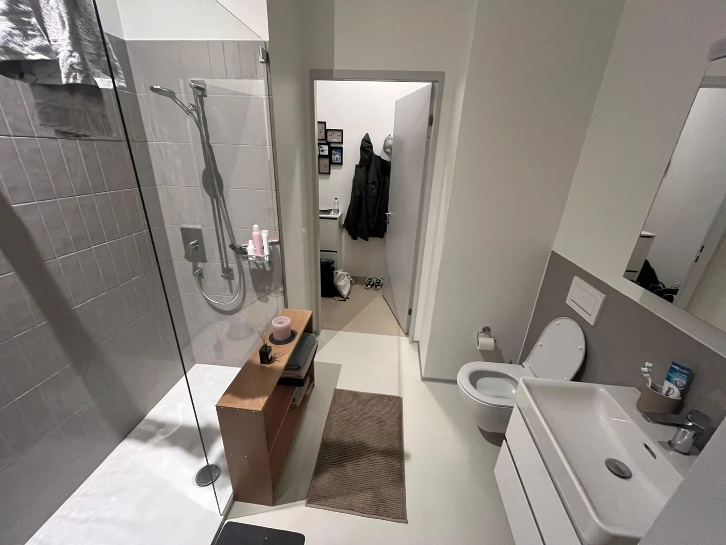 Modern Apartment in Uster - Photo 4 of 9
