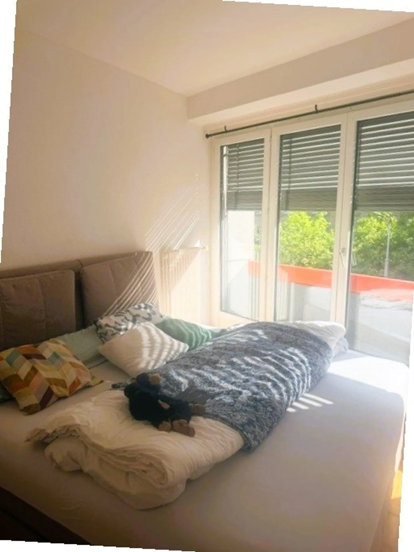 Appartamento 2.5 stanze - Foto 5 di 5