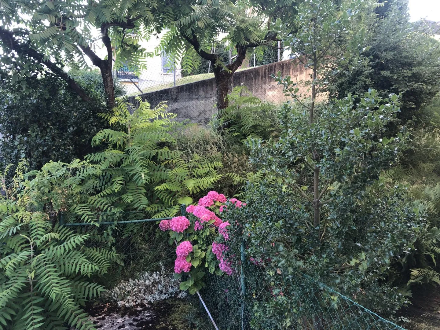 Appartamento 2 locali - Foto 4 di 5
