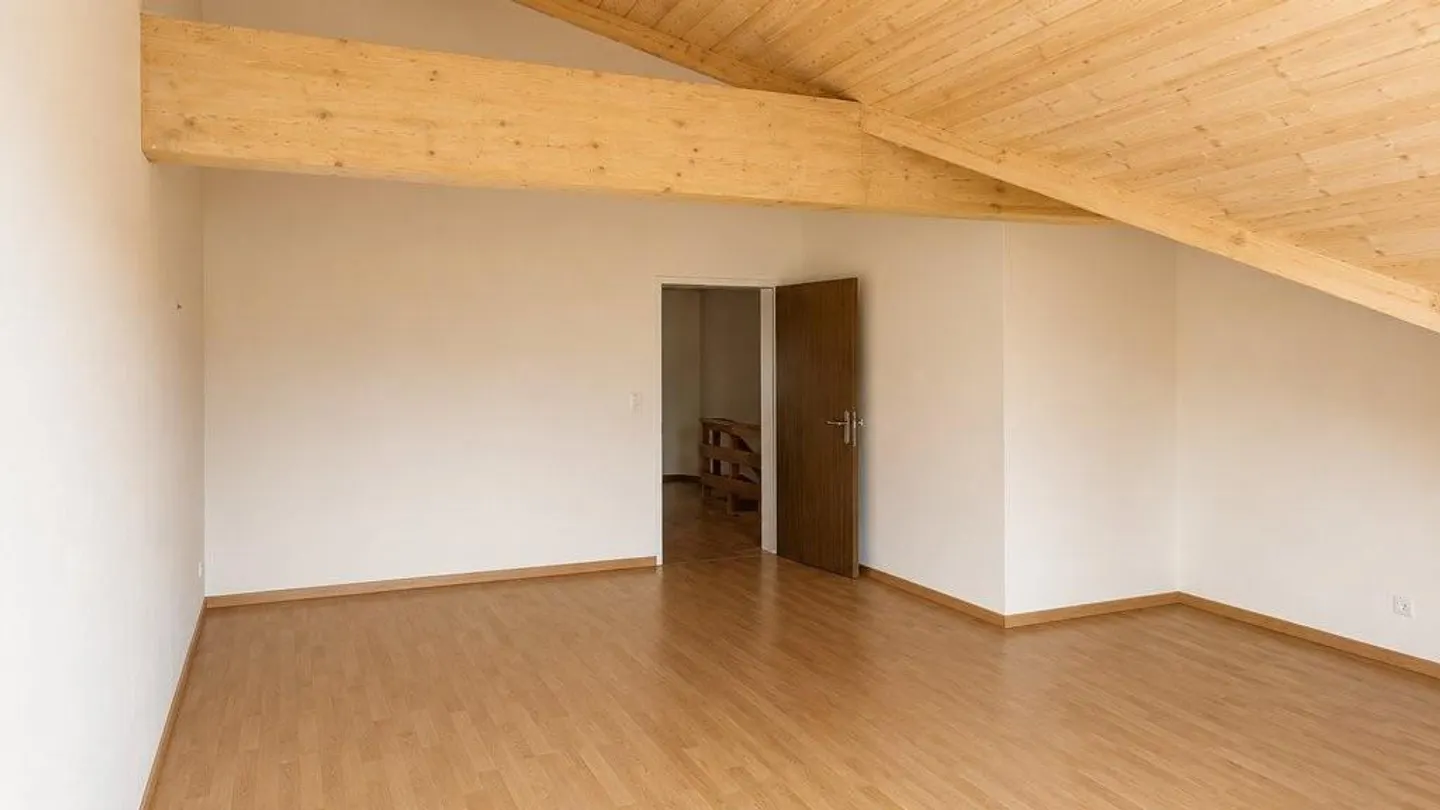 Charming 4.5-Room Apartment - Photo 8 of 12
