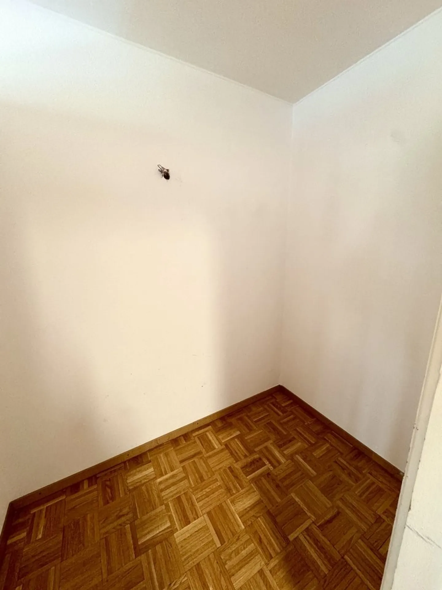 Gewerbefläche im Duplex - Foto 5 von 5