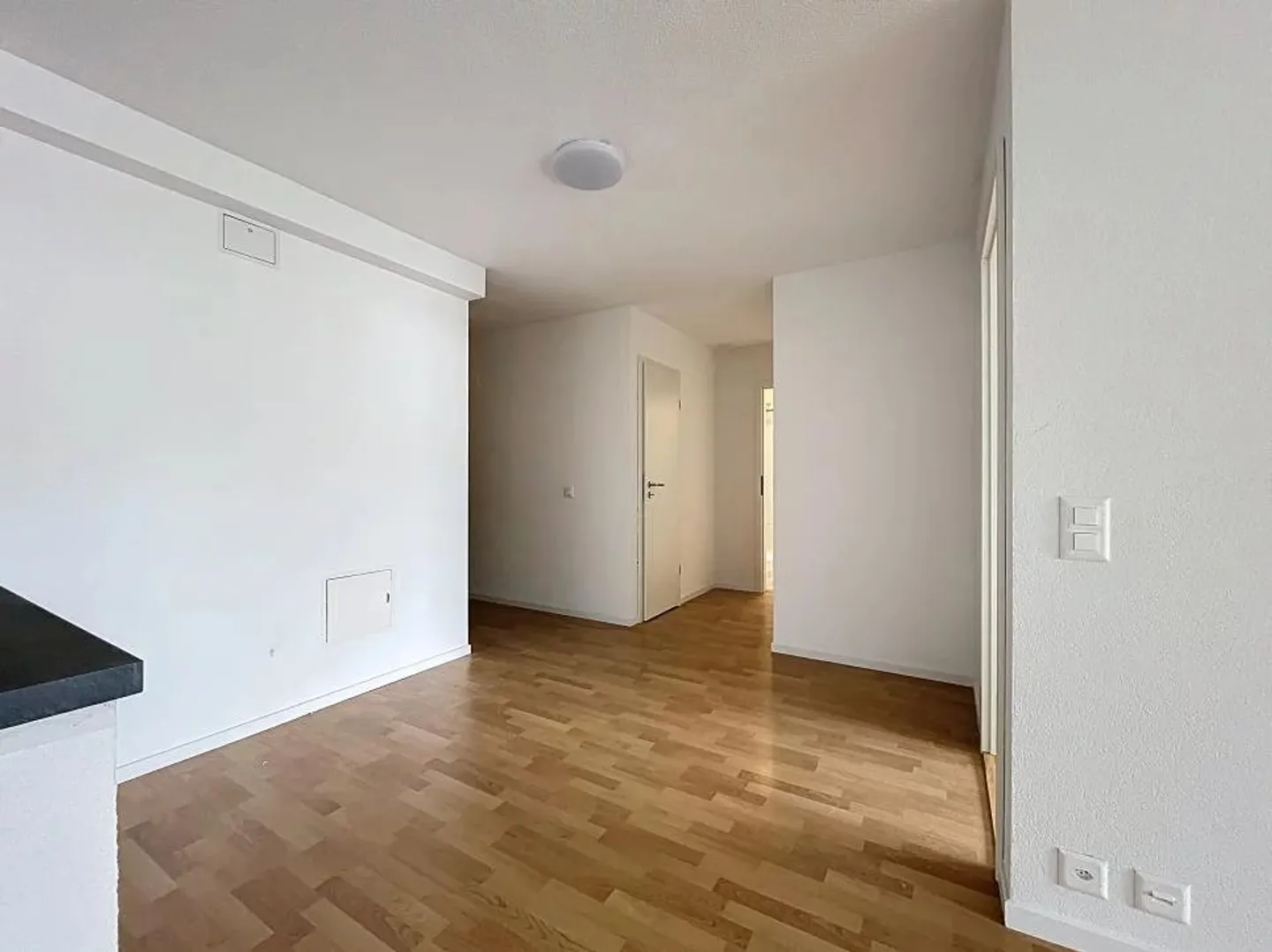 Magnifico appartamento di 3,5 stanze completamente ristrutturato - Foto 3 di 6