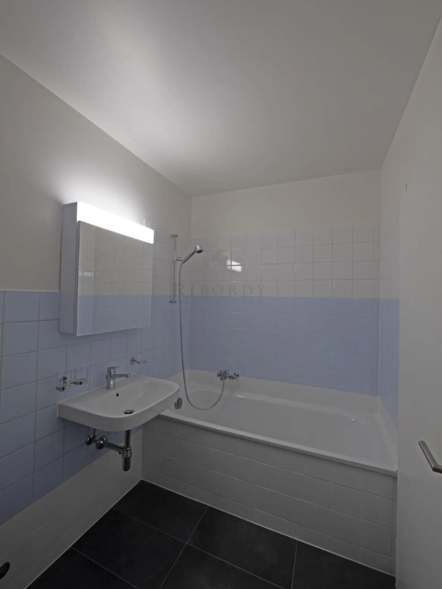 In einer grünen und friedlichen Umgebung, geräumige und helle Wohnung, renoviert, mit doppelten Terrassen und Gärten! - Foto 9 von 10