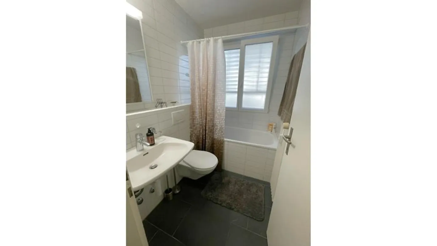 APPARTAMENTO 3½ STANZE A BOTTMINGEN (BL), ARREDATO, TEMPORANEO - Foto 5 di 10