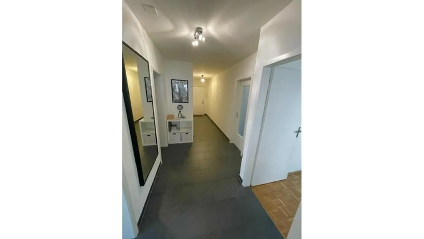 APPARTAMENTO 3½ STANZE A BOTTMINGEN (BL), ARREDATO, TEMPORANEO - Foto 9 di 10