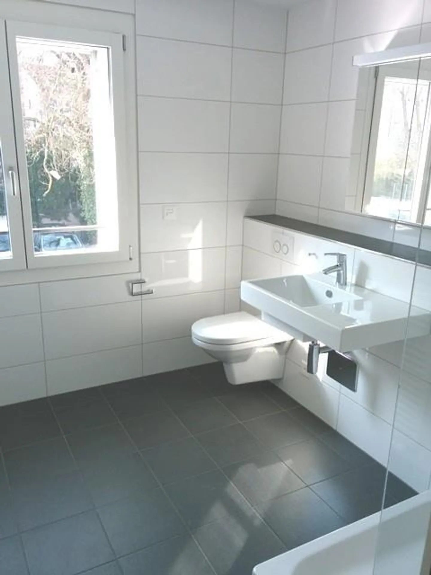 Helle Wohnung in Binningen - Foto 2 von 4