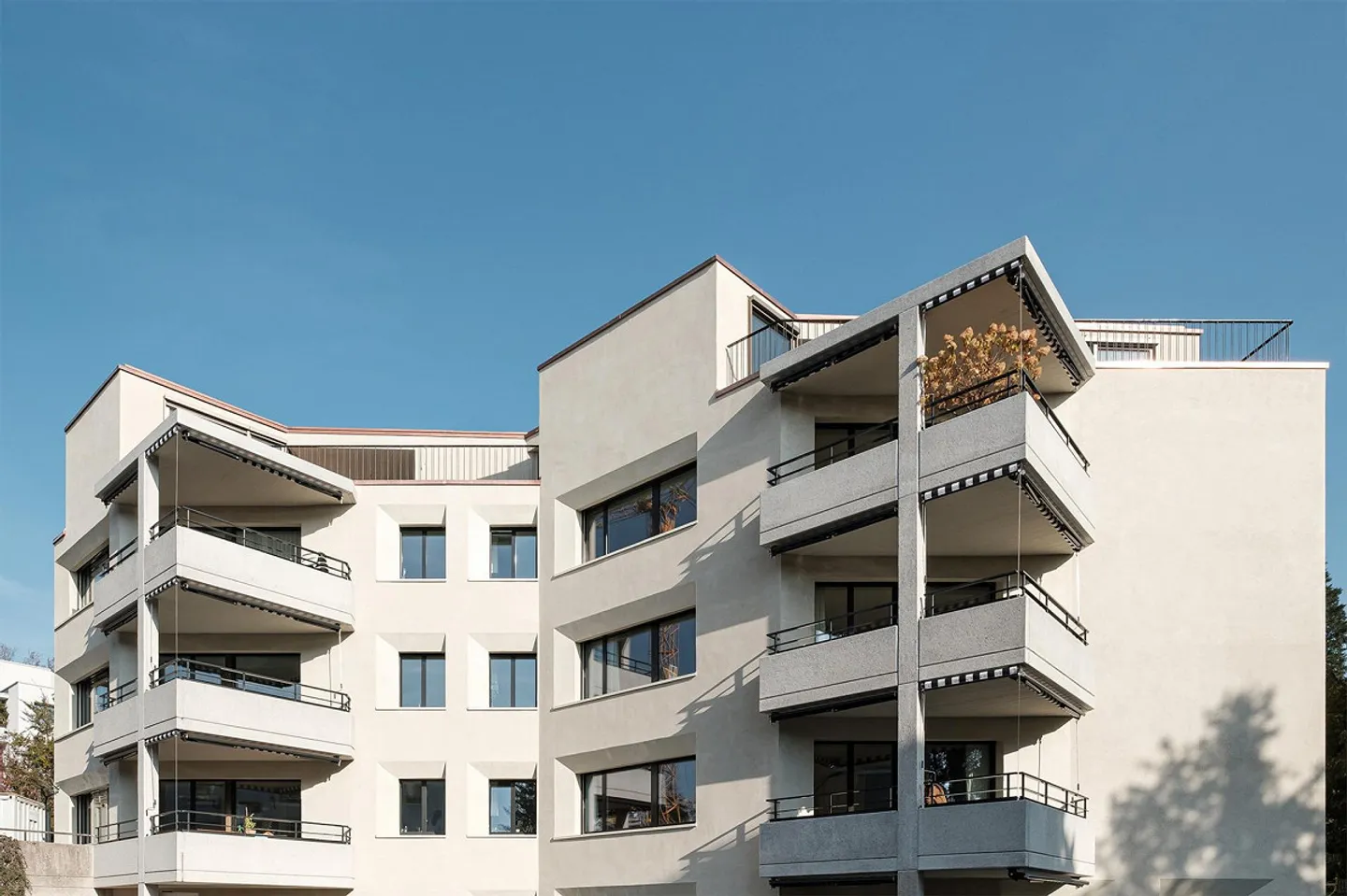 Ampio appartamento di 3,5 stanze con area giardino in una posizione privilegiata - Foto 1 di 9