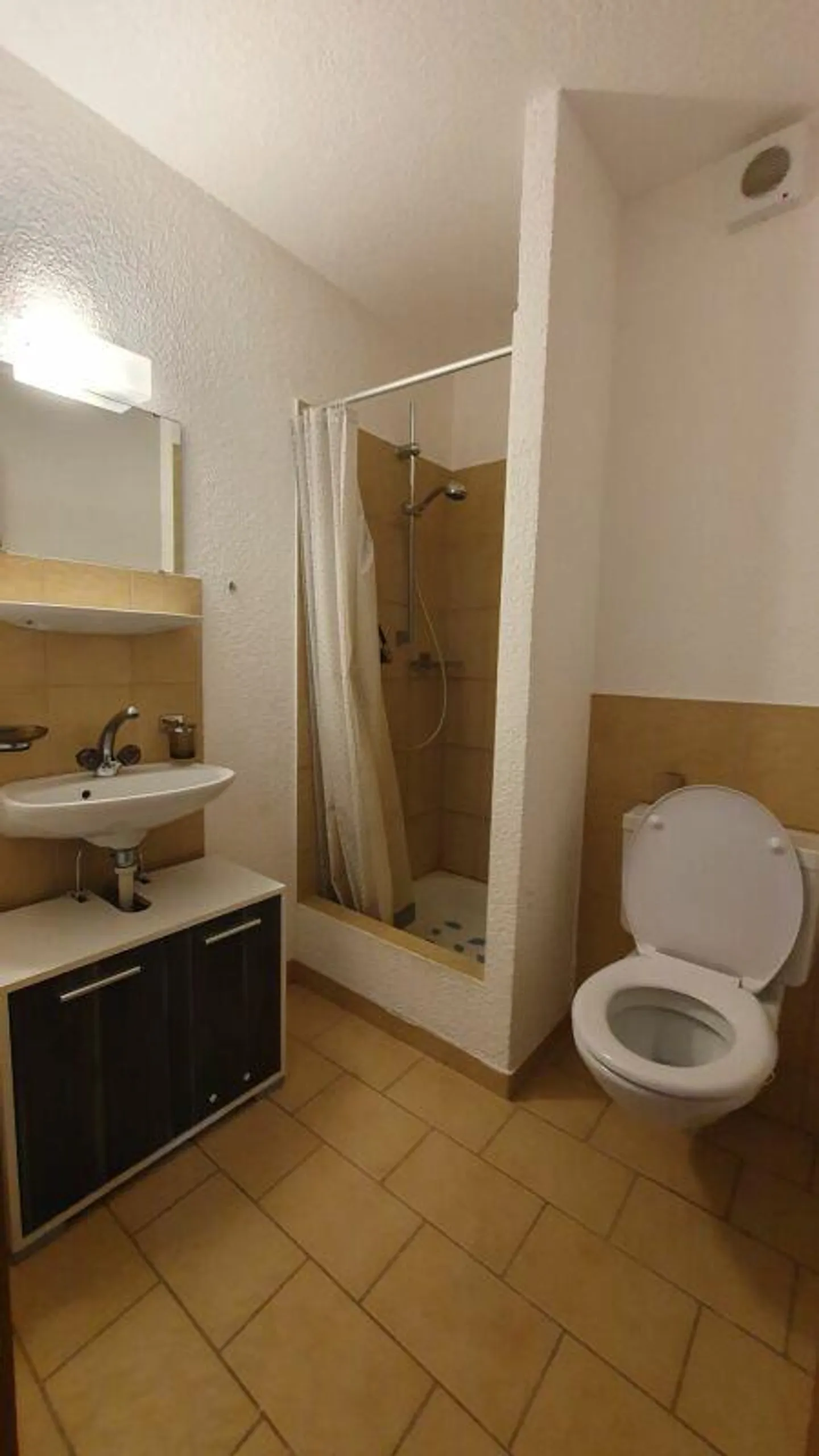 Ampio appartamento di 4 ½ locali a Schönengrund SG - Foto 9 di 10