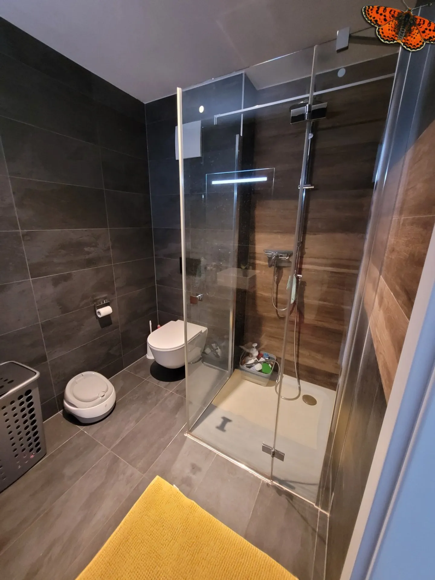 3 ½ CHAMBRES AU REZ-DE-CHAUSSÉE - CENTRE-VILLE - Photo 4 sur 7