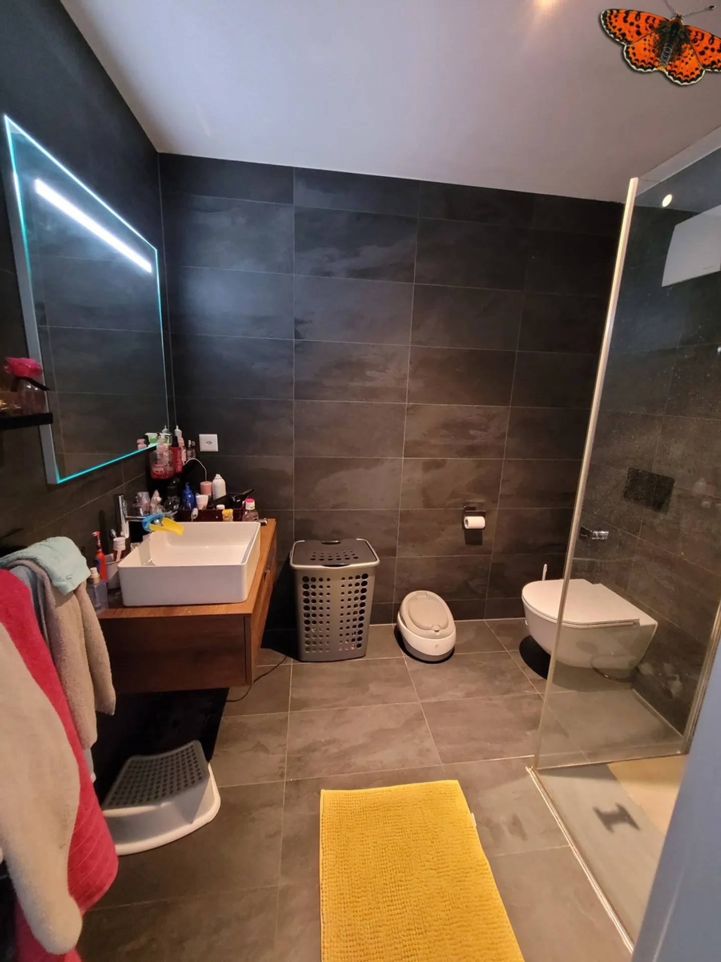 3 ½ CHAMBRES AU REZ-DE-CHAUSSÉE - CENTRE-VILLE - Photo 5 sur 7