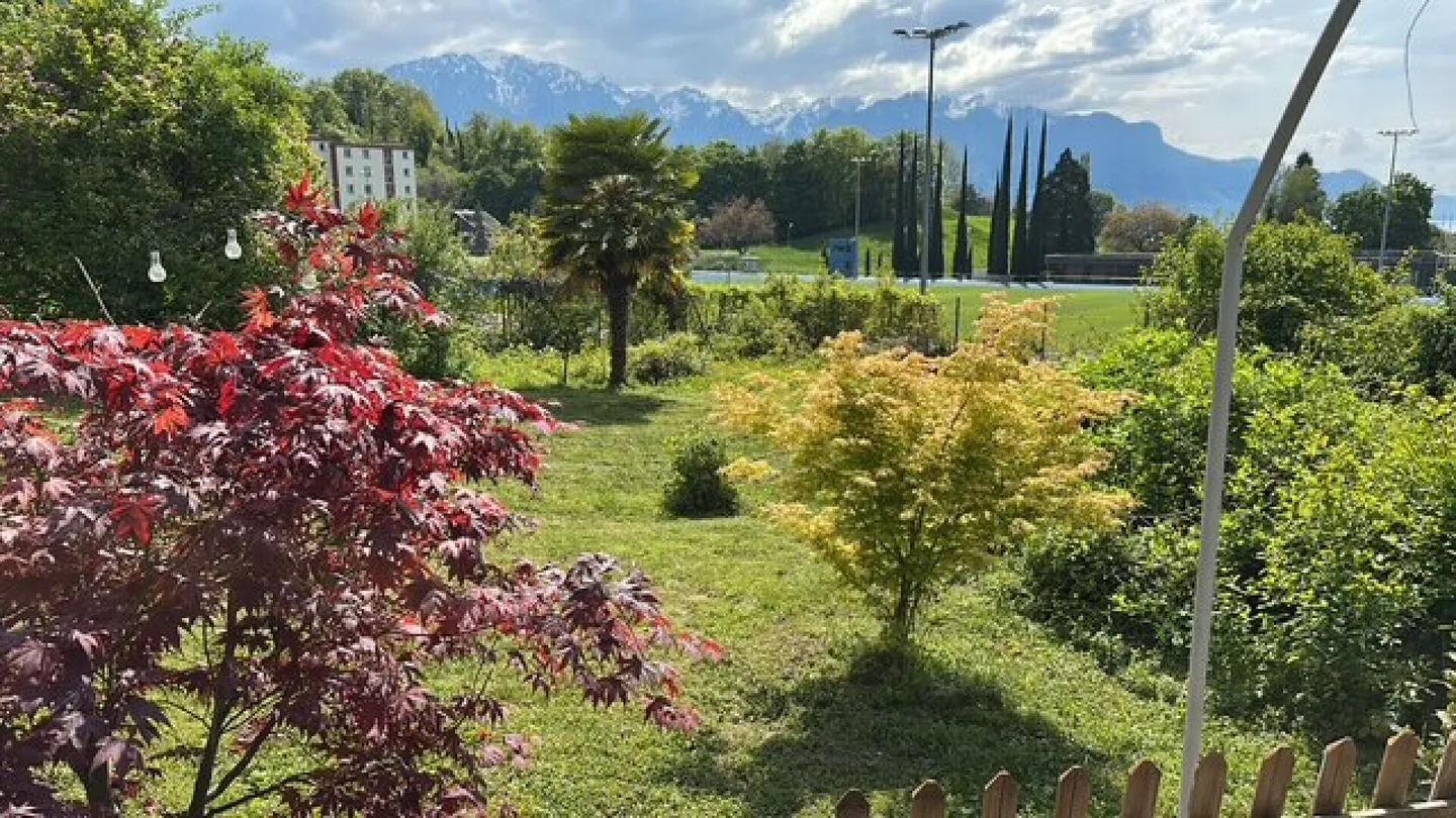 Belle maison vigneronne - Photo 20 sur 24