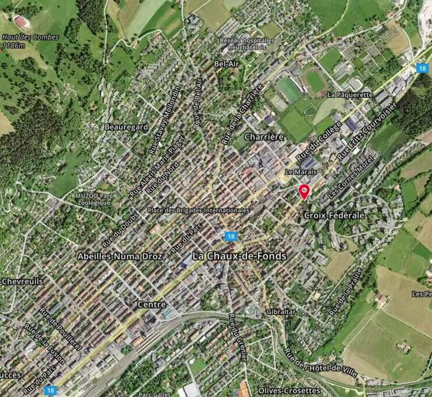 Building with Café-Restaurant - Photo 6 of 13