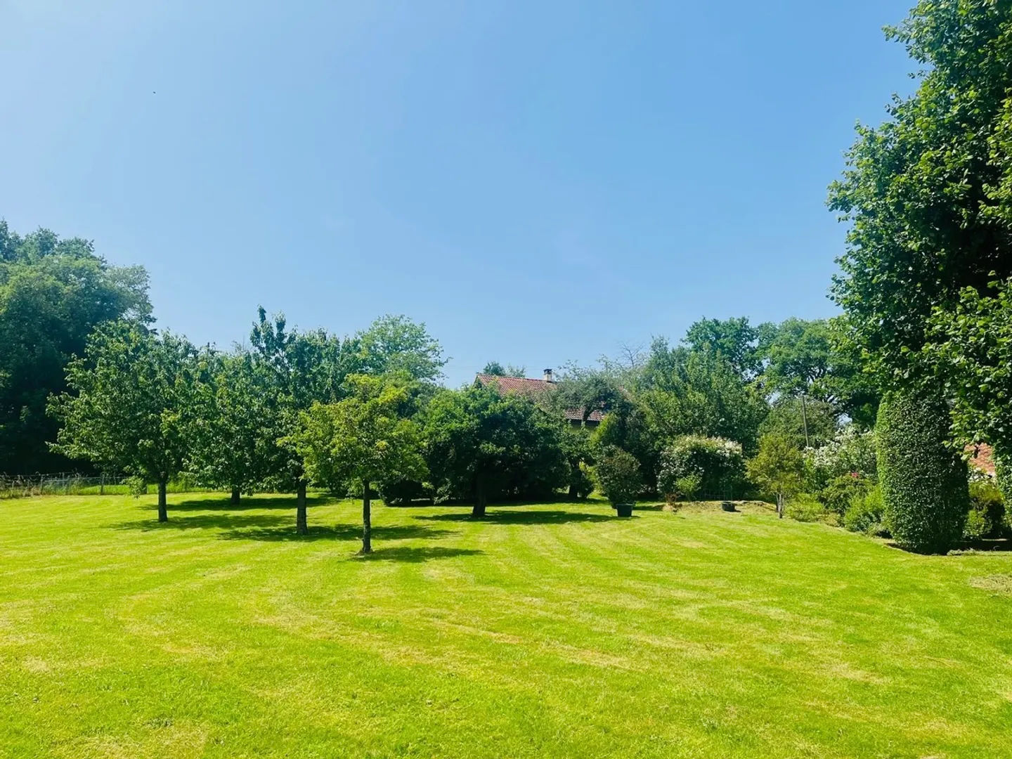 Magnificent renovated farmhouse in a green oasis - Photo 1 of 12