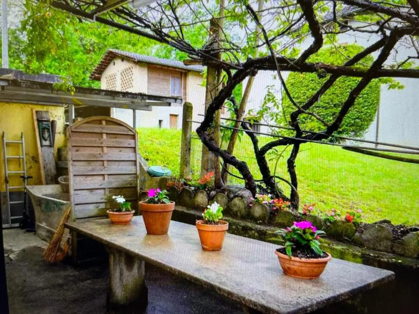 Charming Family Home in Novazzano - Photo 5 of 6