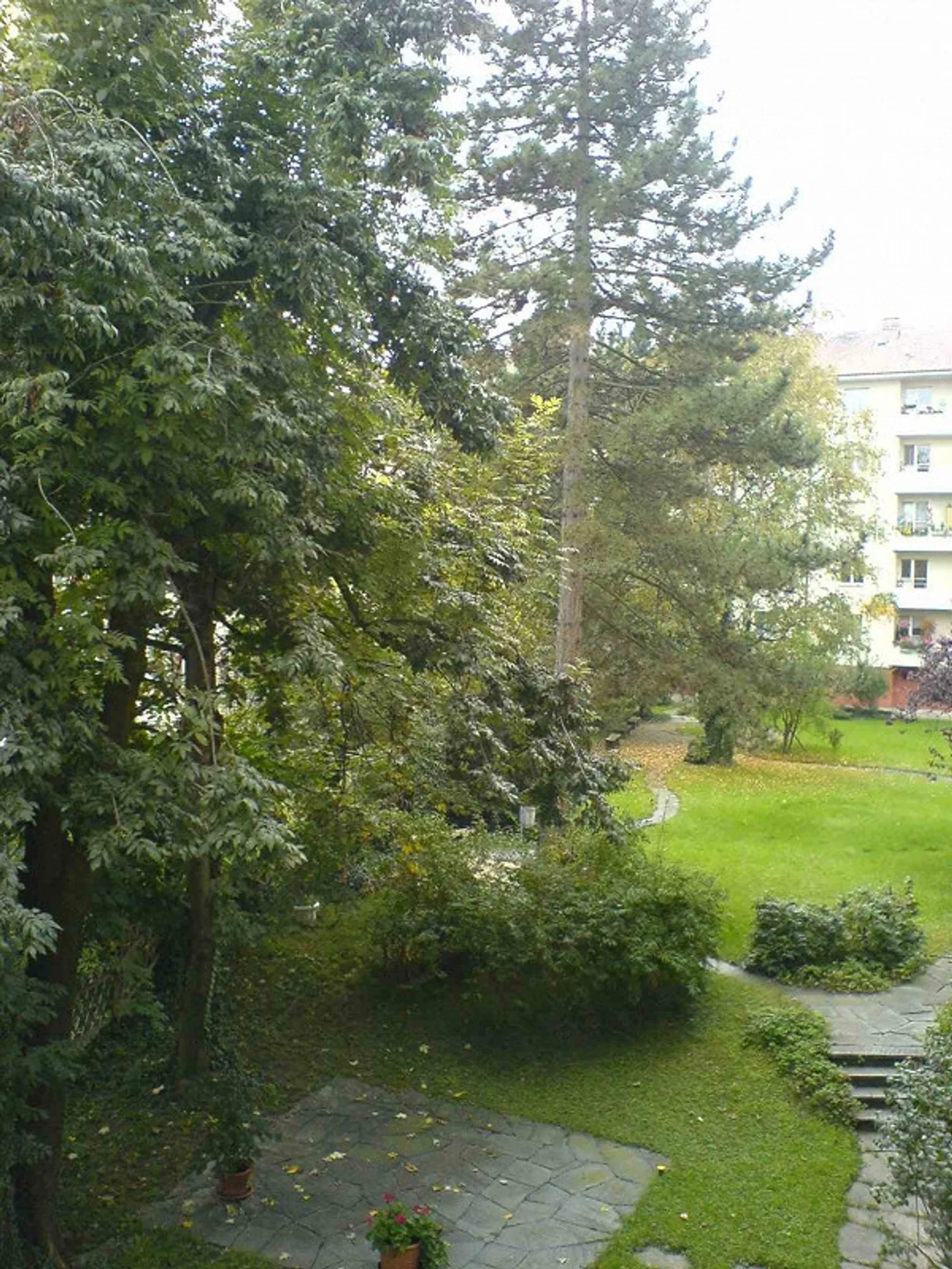 1-room apartment (ground floor) in well-maintained property near Felix Platter Hospital - Photo 6 of 6