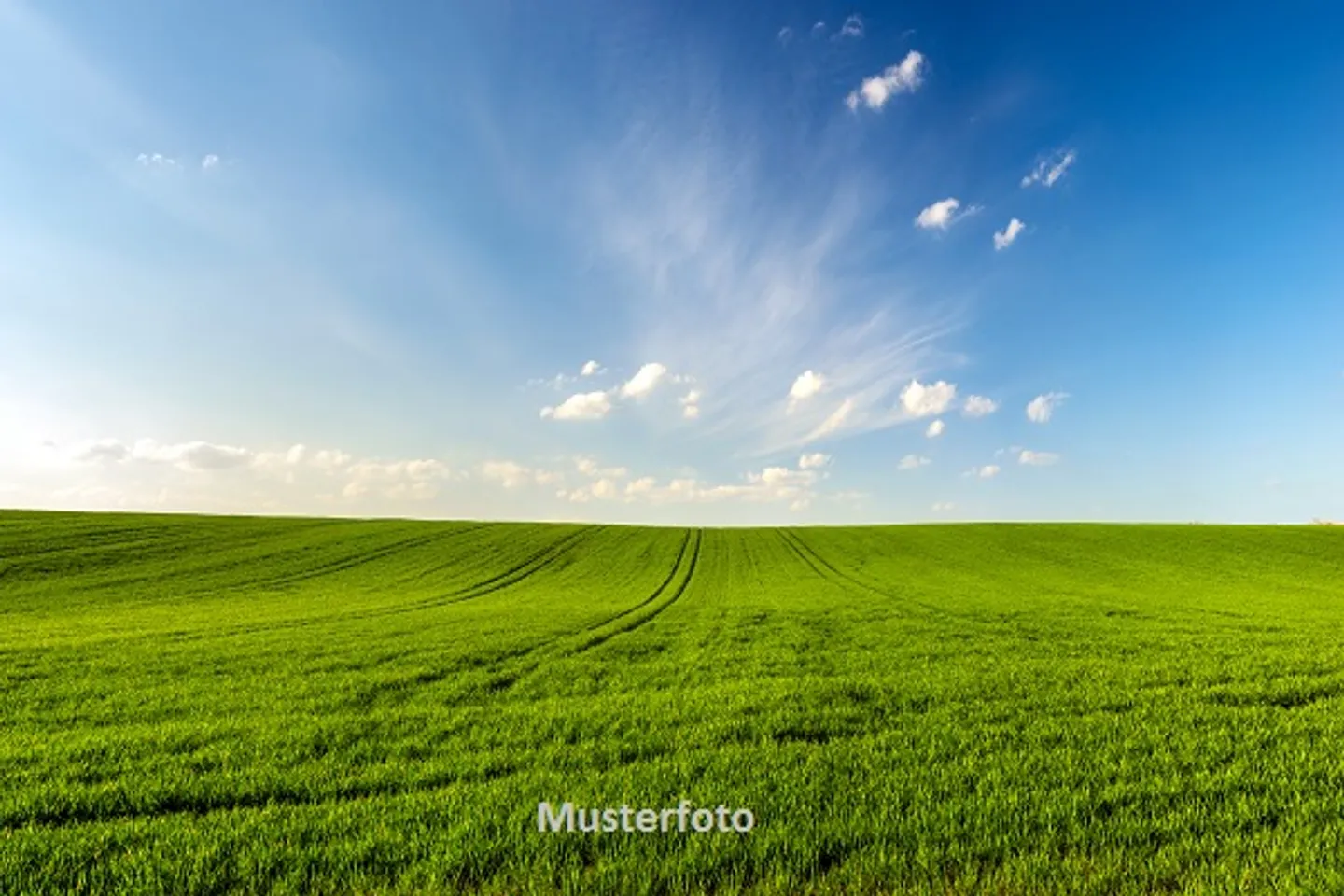 Ferme à vendre - Photo 1 sur 13