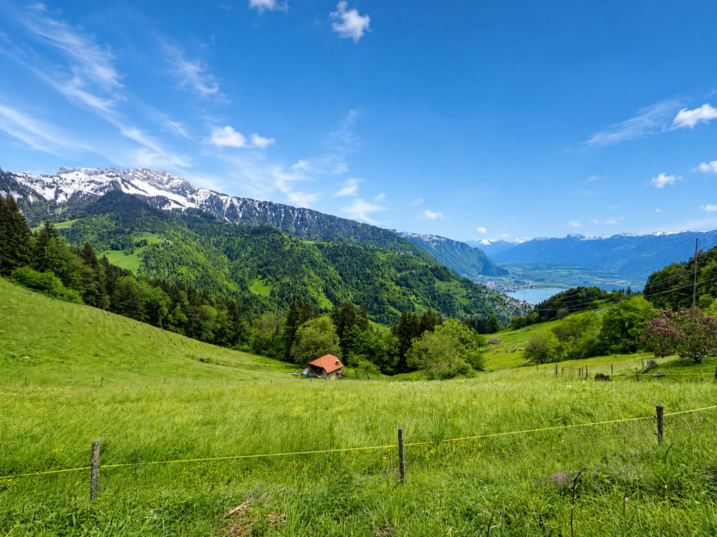 Chalet incantevole nel cuore dei narcisi - Foto 2 di 9