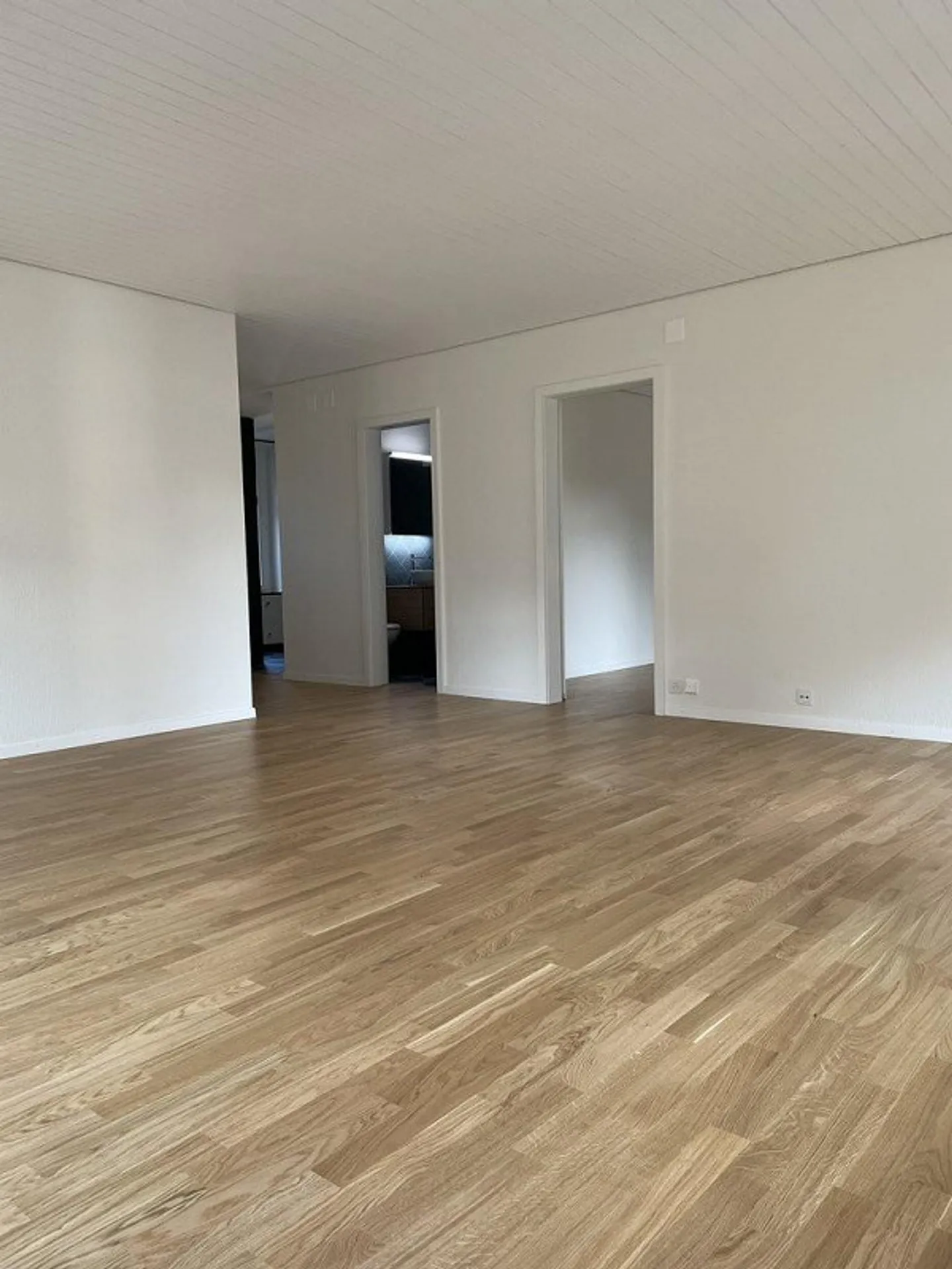 Première location - Appartement lumineux à louer - Photo 3 sur 8