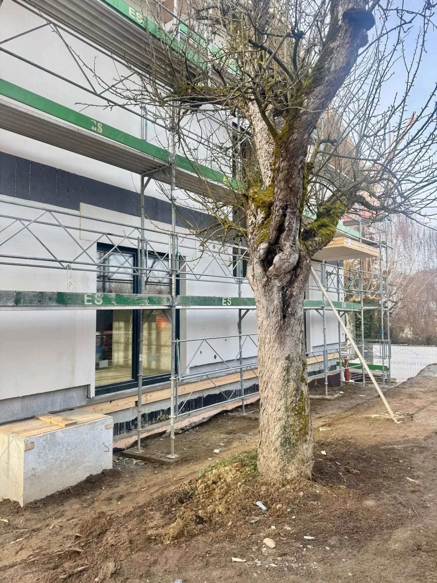 Neue Doppelhaushälfte in Payerne, Golf- und Krankenhausviertel - Foto 7 von 10