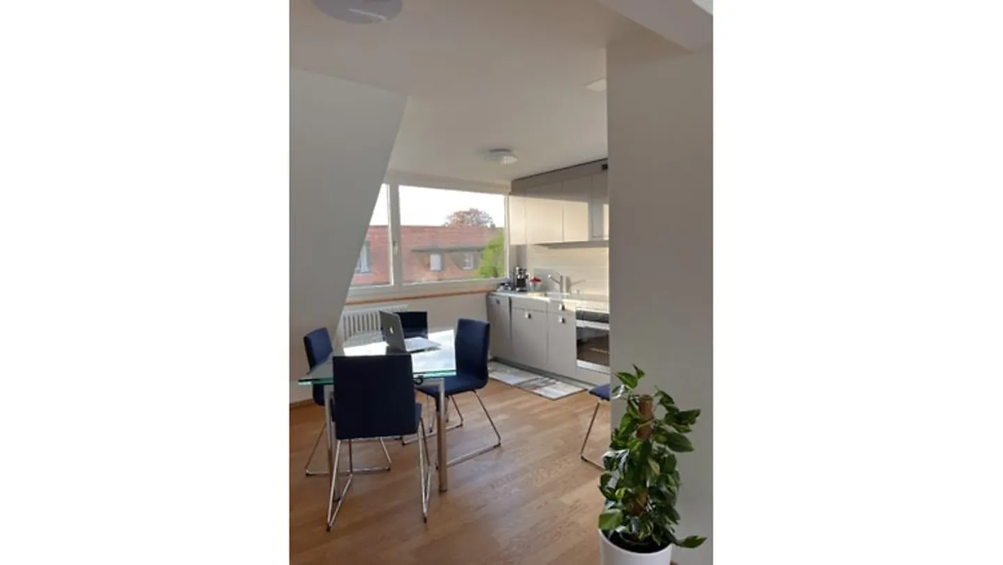 APPARTEMENT 2½ PIÈCES À BERNE - SANDRAIN, MEUBLÉ, TEMPORAIRE - Photo 3 sur 9