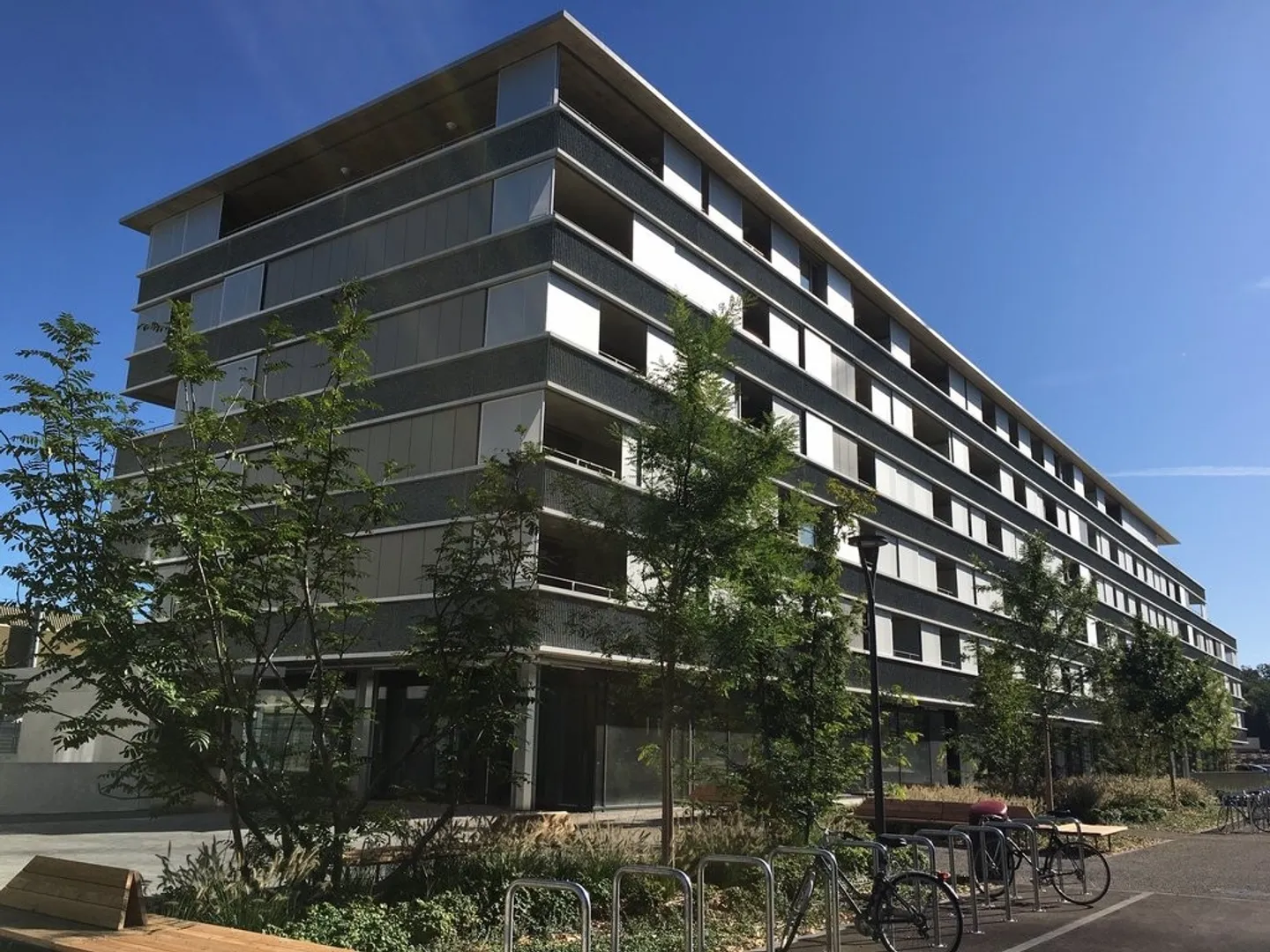 Wachsendes Viertel, verschiedene Arkaden, nach Ermessen des Mieters - Foto 5 von 12