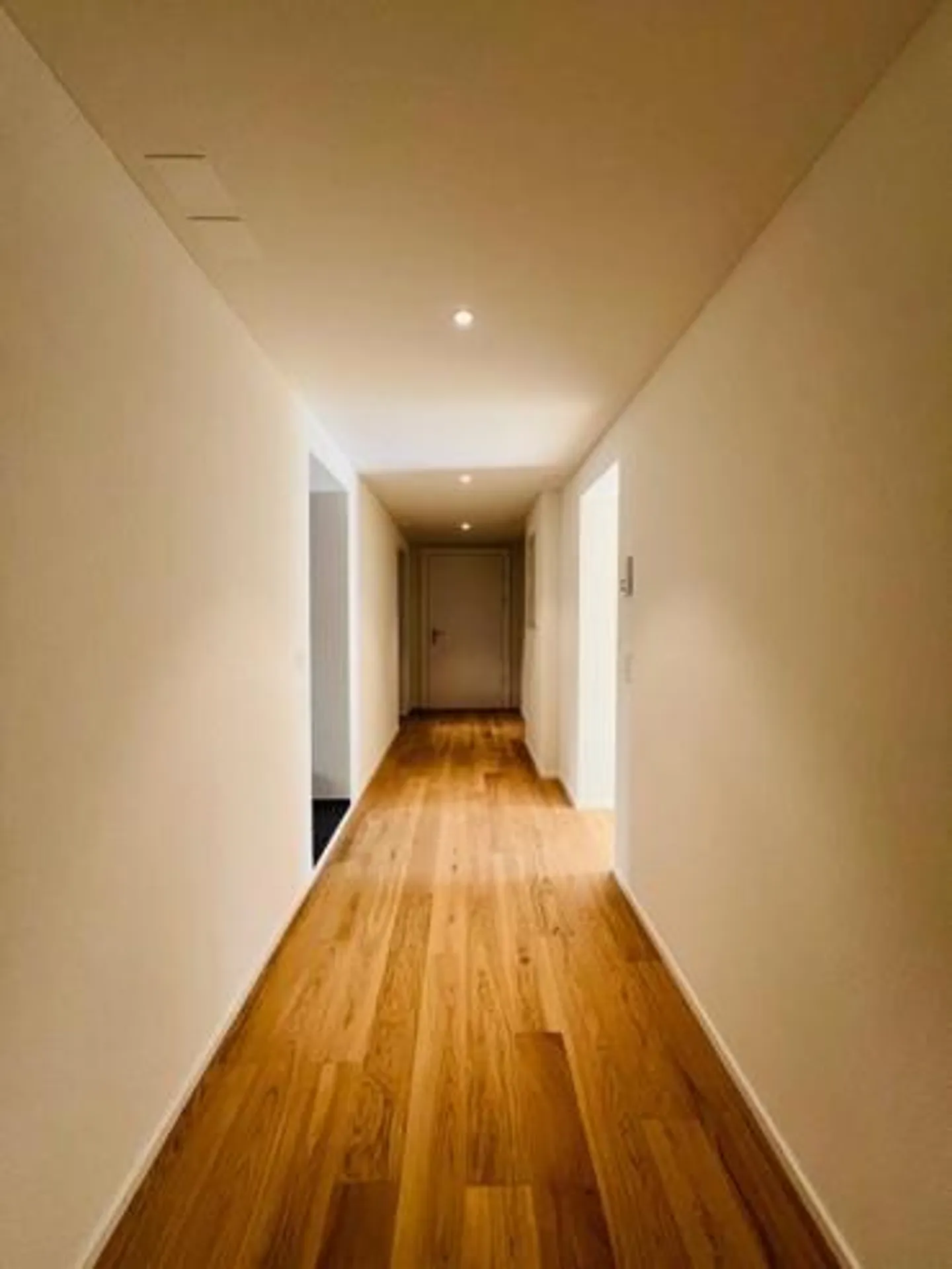 SPACIOUS APARTMENT WITH CHARM & SUNSHINE - Photo 8 of 9