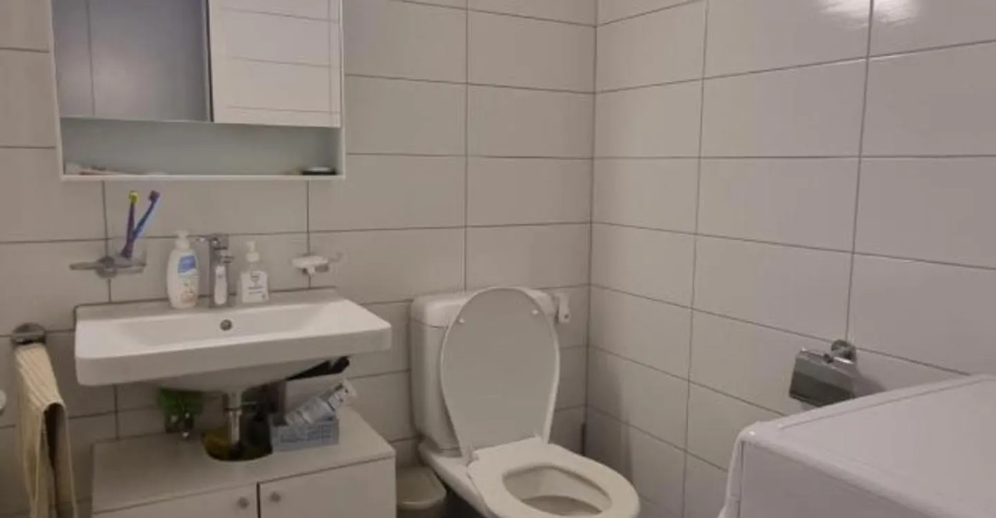 Appartamento 2.5 camere incantevole - Foto 6 di 6