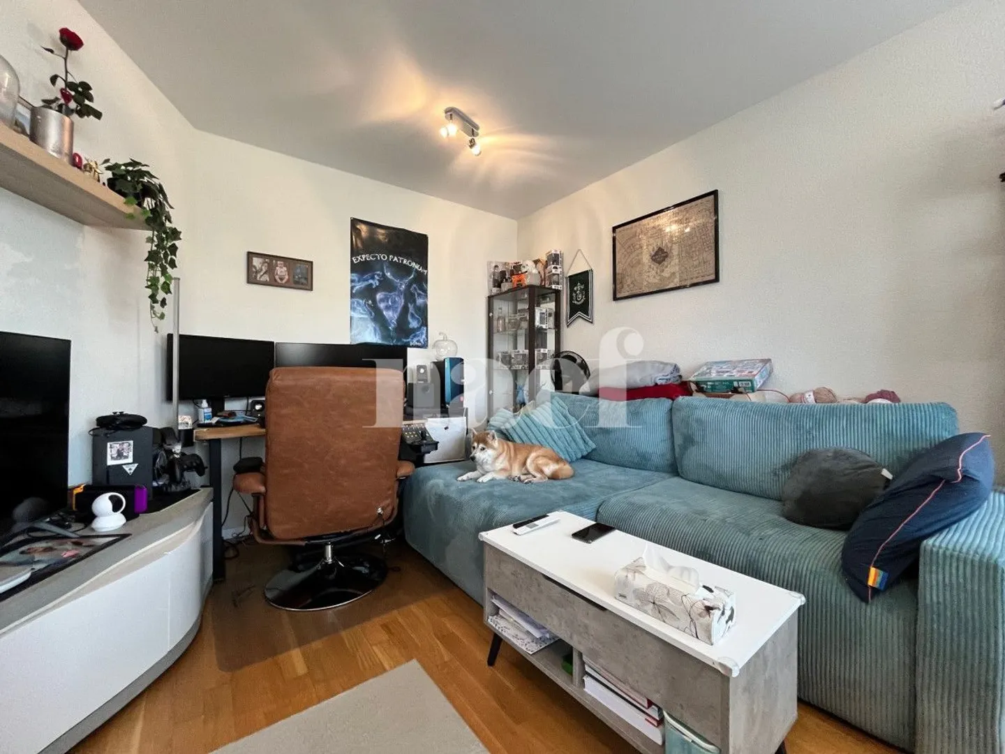 Attico 2.5 stanze - Foto 3 di 7