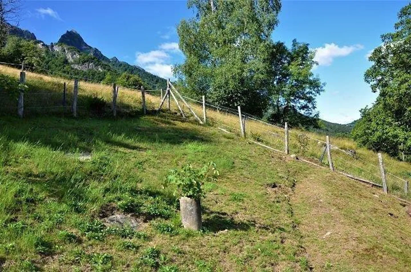 5 1/2-Zimmer-Berghaus an sehr ruhiger, sonniger Aussichtslage / Cascina di 5 1/2 locali immersa nella natura molto tranquilla con grande terreno - Foto 27 di 42