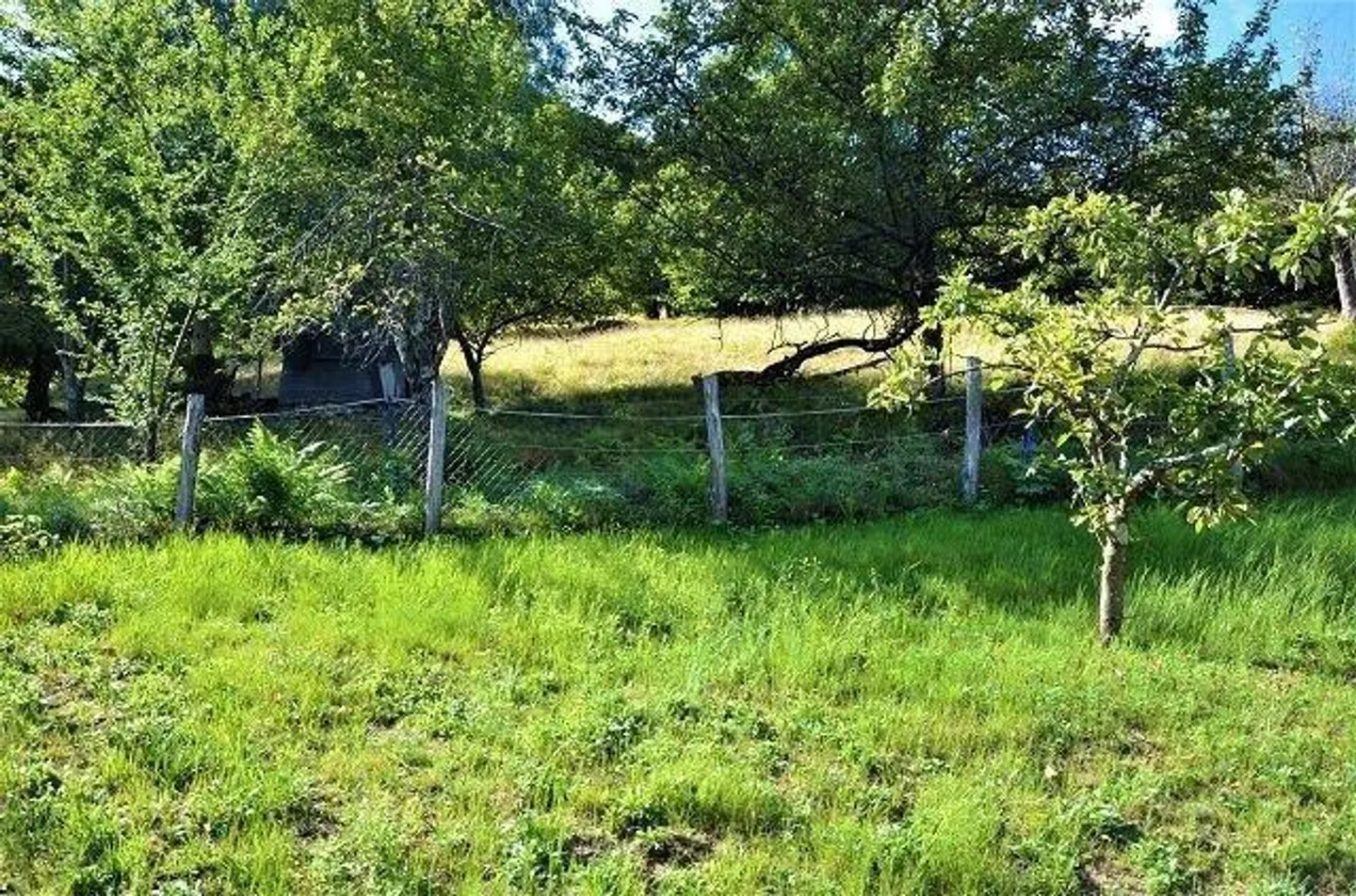 5 1/2-Zimmer-Berghaus an sehr ruhiger, sonniger Aussichtslage / Cascina di 5 1/2 locali immersa nella natura molto tranquilla con grande terreno - Foto 28 di 42