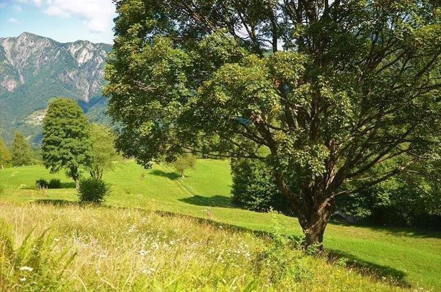5 1/2-Zimmer-Berghaus an sehr ruhiger, sonniger Aussichtslage / Cascina di 5 1/2 locali immersa nella natura molto tranquilla con grande terreno - Foto 29 di 42