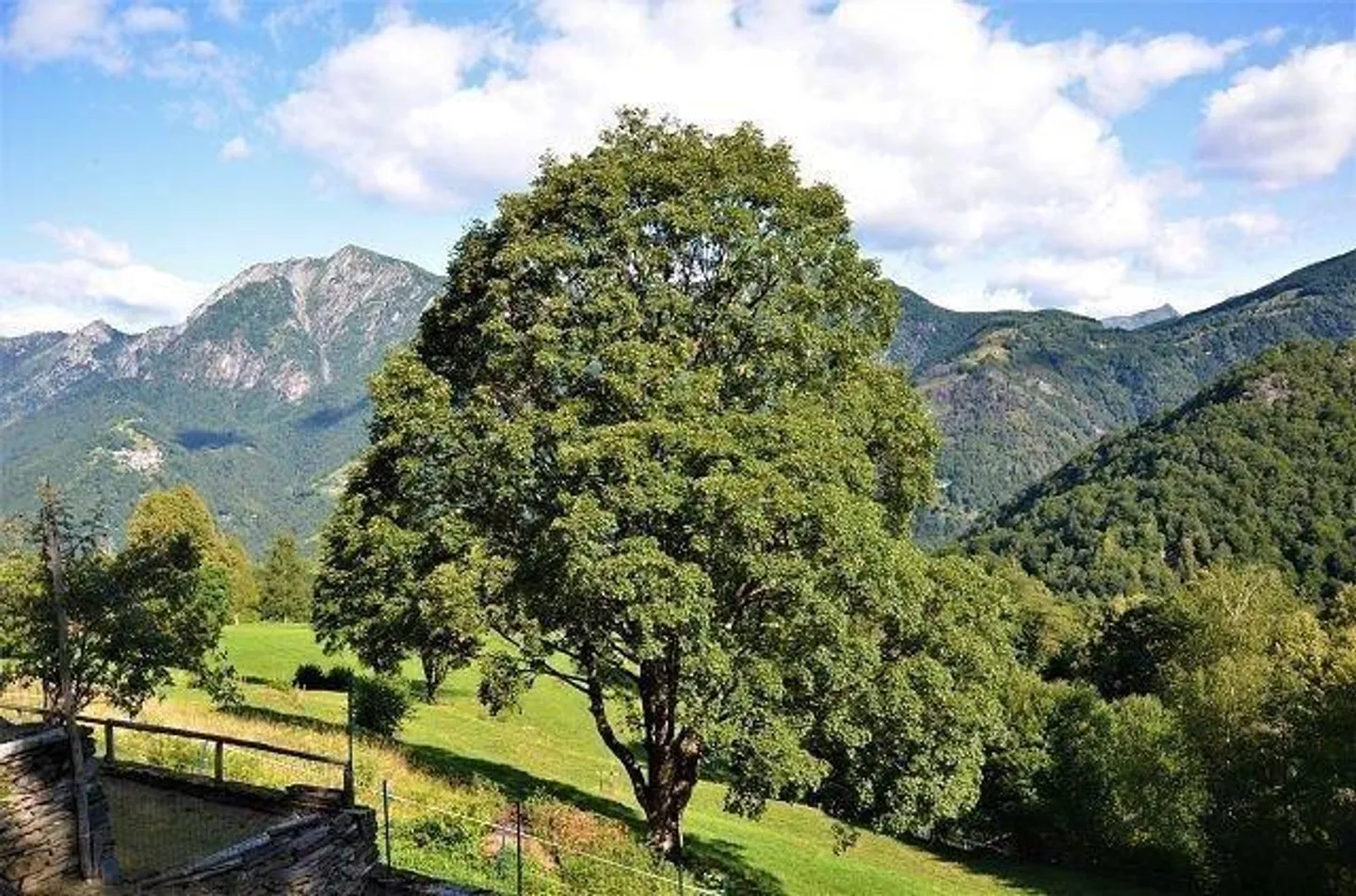 5 1/2-Zimmer-Berghaus an sehr ruhiger, sonniger Aussichtslage / Cascina di 5 1/2 locali immersa nella natura molto tranquilla con grande terreno - Foto 31 di 42