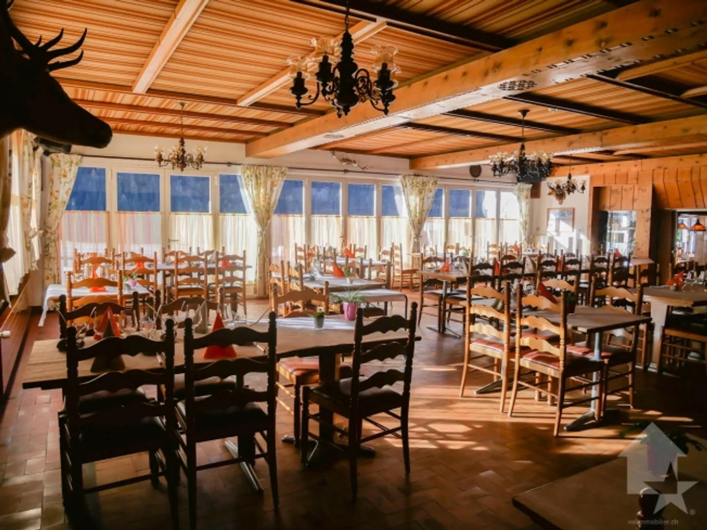 Belle installation avec des activités variées - Photo 5 sur 13