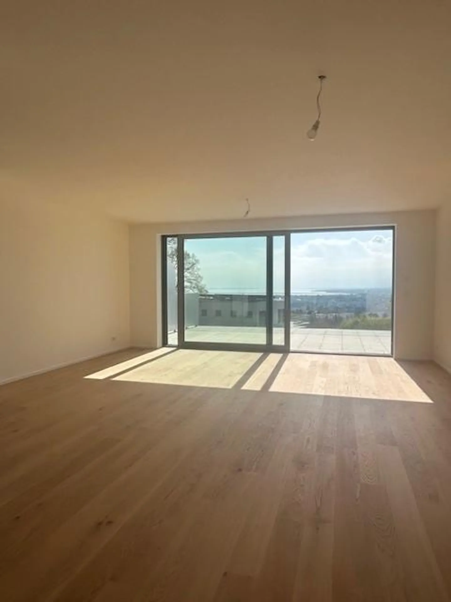 Attico di 2,5 stanze con grande terrazza e vista lago - Foto 2 di 6