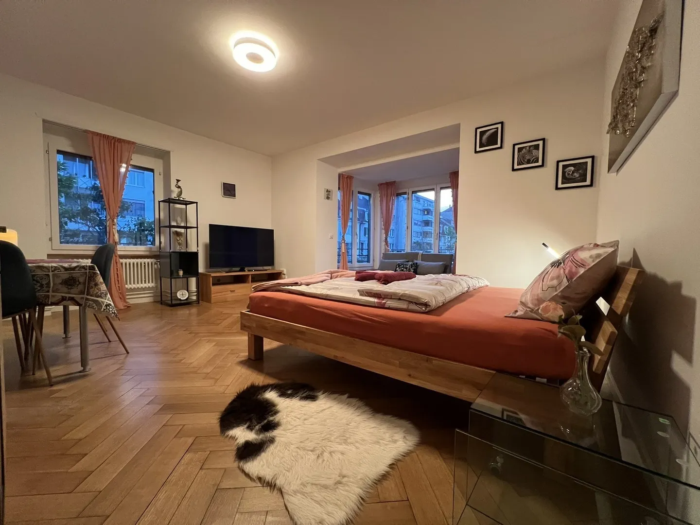 Modern Studio Apartment in Basel - Photo 5 of 13