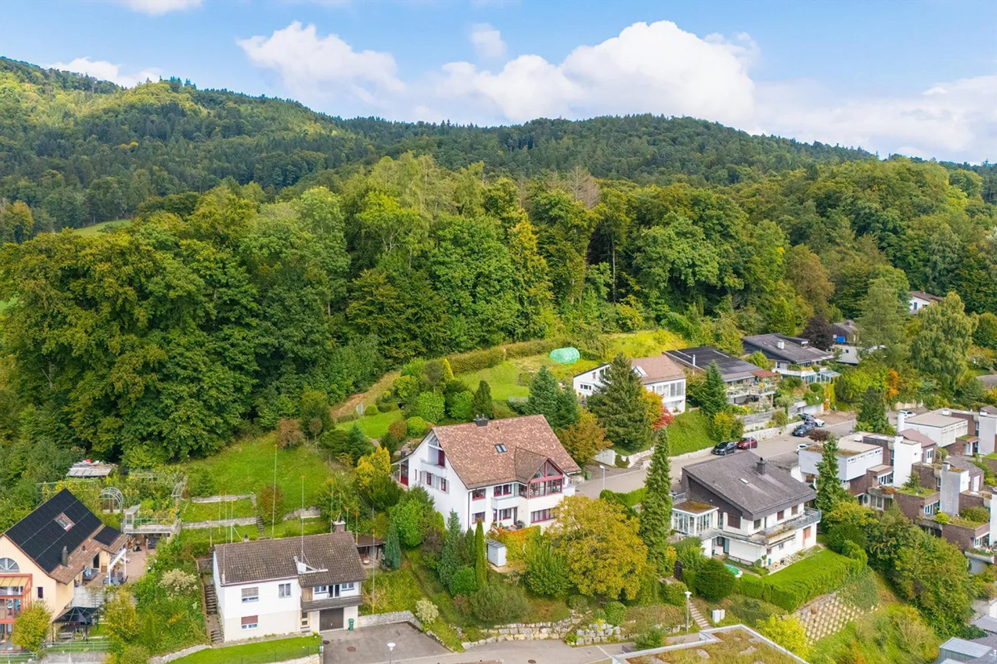 Confine del bosco e natura: Casa maestosa con appartamento - Foto 5 di 29