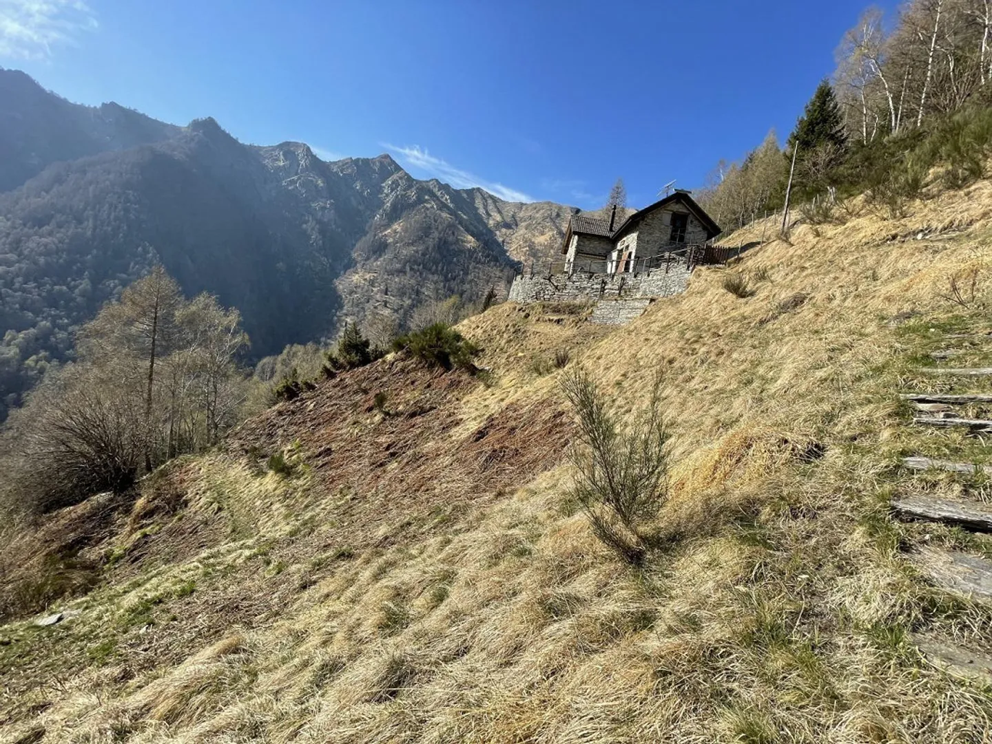 Rustique de 4 1/2 pièces avec un grand terrain de 12 000 m2 à Sassello - Photo 20 sur 28